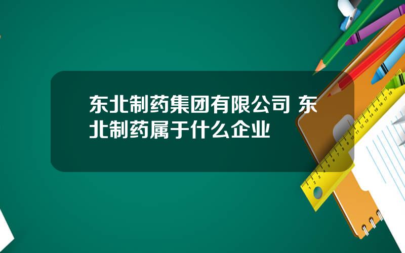 东北制药集团有限公司 东北制药属于什么企业